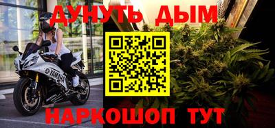 сатива Кунгур