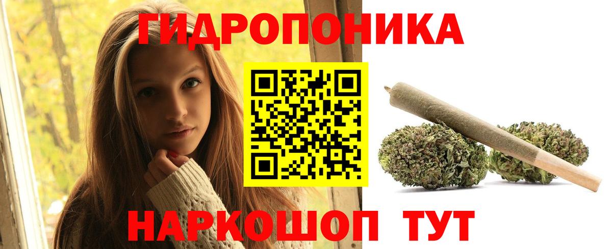 Шишки марихуана марихуана Калининград